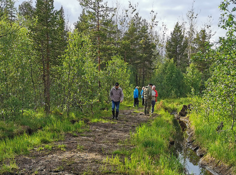 Personer i skogen.png Personer i skogen